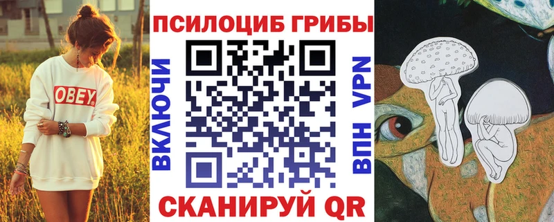 Псилоцибиновые грибы MAGIC MUSHROOMS  где купить наркотик  mega как войти  Поронайск 