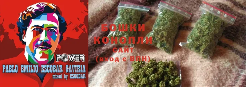 Шишки марихуана SATIVA & INDICA  магазин продажи наркотиков  Поронайск 